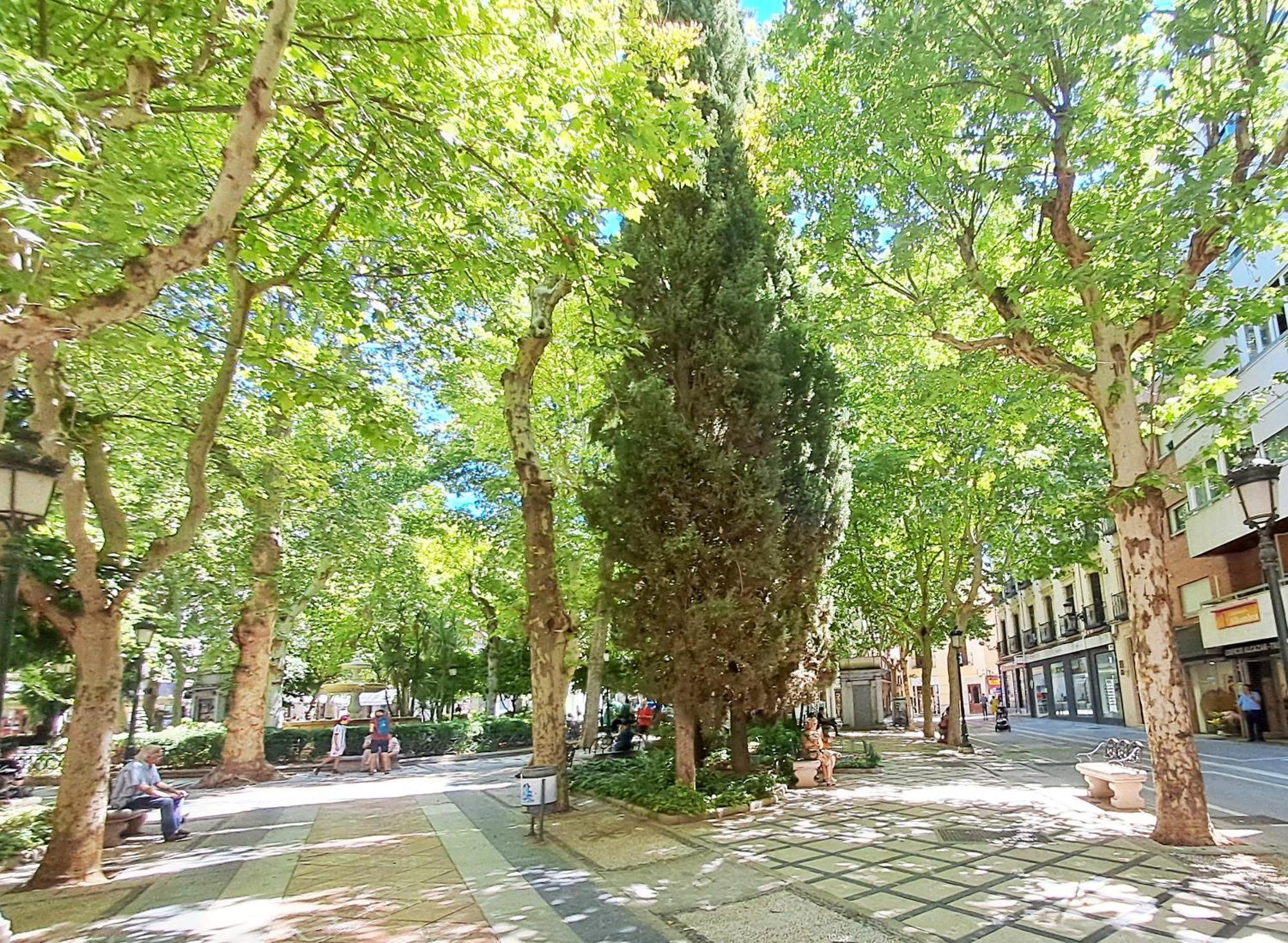 Apartasuite Centro Historico Atico Tranquilo Y Luminoso En El Corazon De غرناطة المظهر الخارجي الصورة