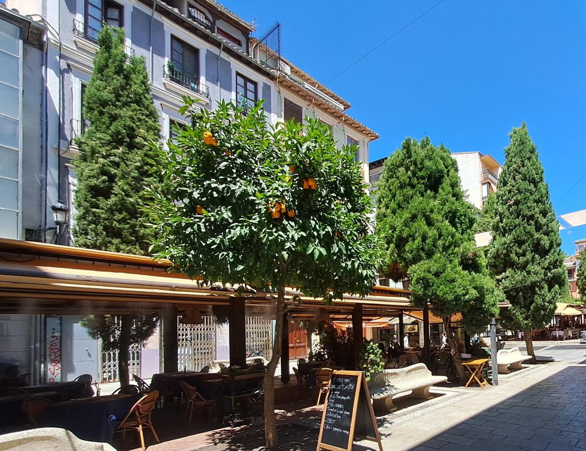 Apartasuite Centro Historico Atico Tranquilo Y Luminoso En El Corazon De غرناطة المظهر الخارجي الصورة